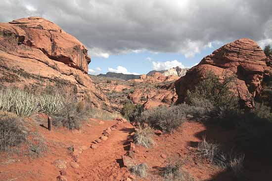 Hidden Pinyon Trail