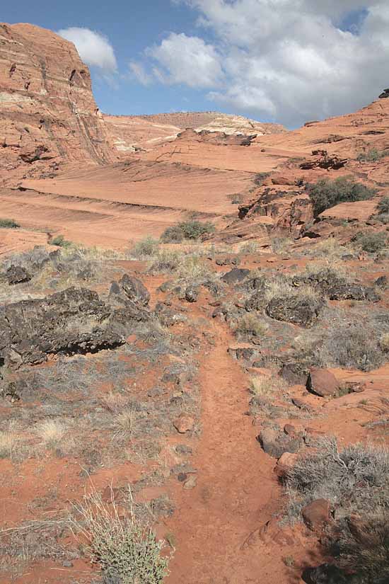 Hidden Pinyon Trail