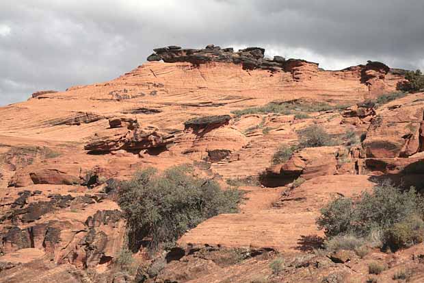 Hidden Pinyon Trail