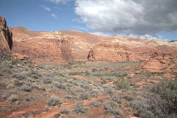 Hidden Pinyon Trail