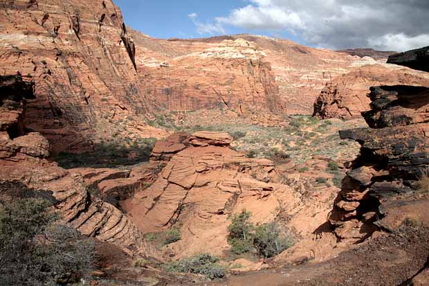 Hidden Pinyon Trail