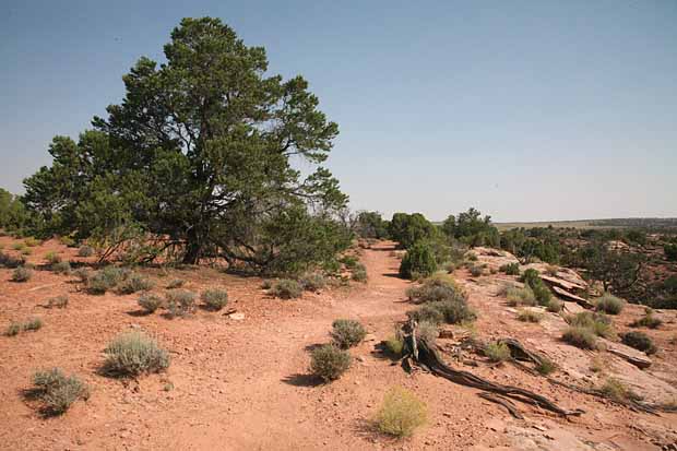 Dead Horse State Park