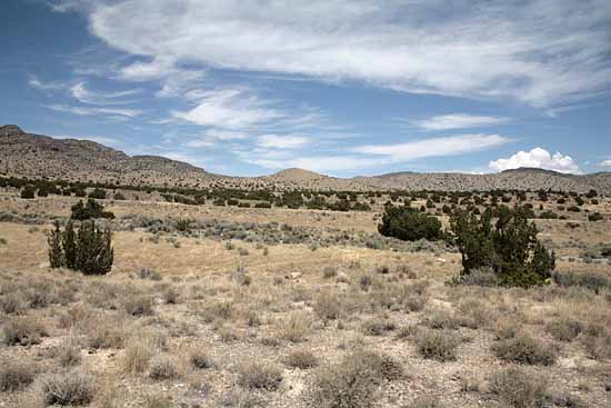 Highway 50