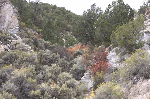 Fremont Indian State Park