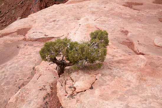 Canyonlands National Park