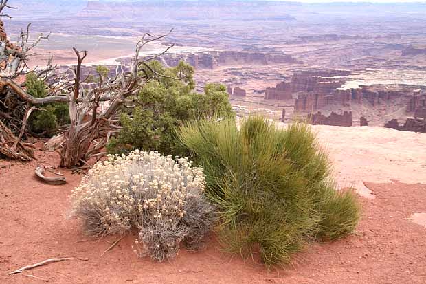 Canyonlands National Park