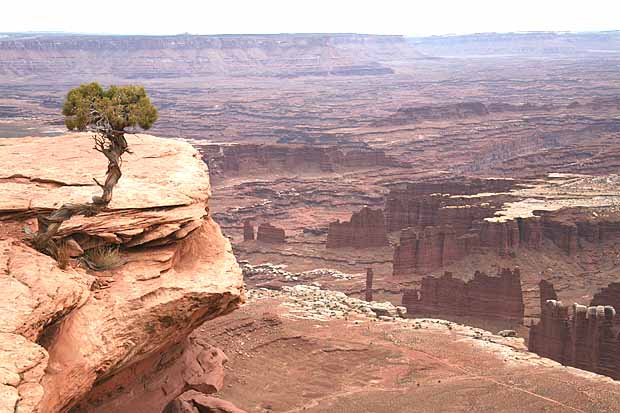 Canyonlands National Park