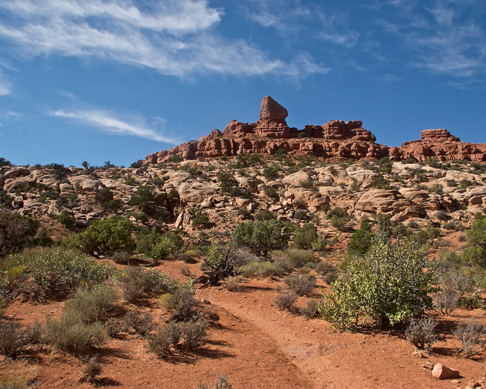 Tower Arch