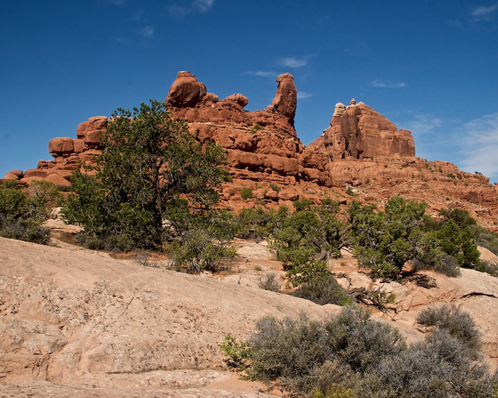 Tower Arch