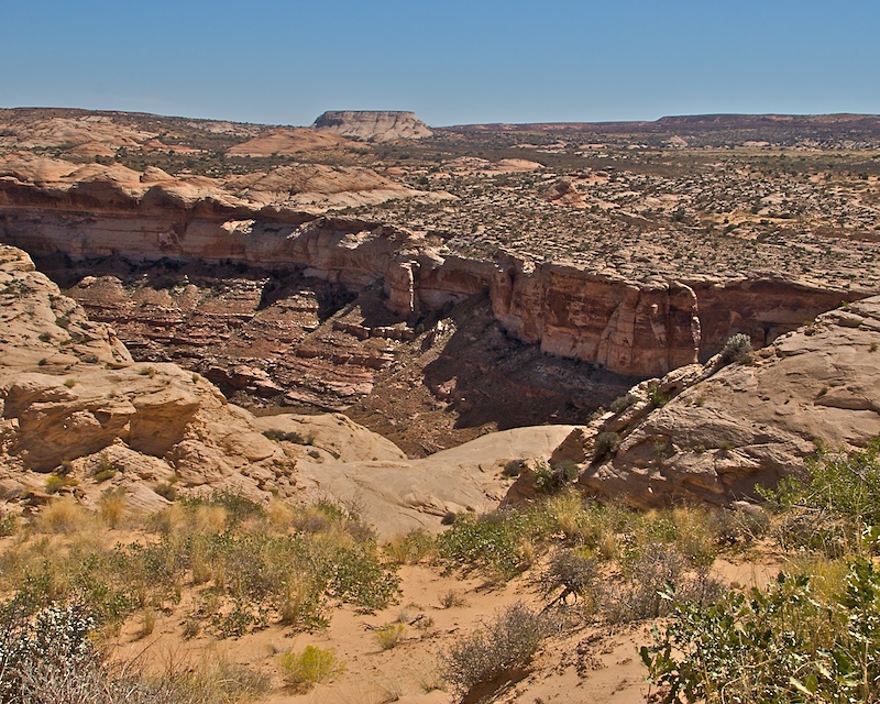 Horsehoe Canyon9