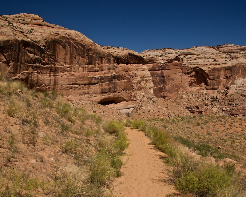 Horsehoe Canyon9