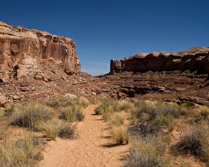 Horsehoe Canyon9