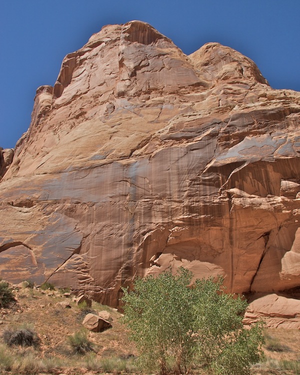 Horsehoe Canyon9