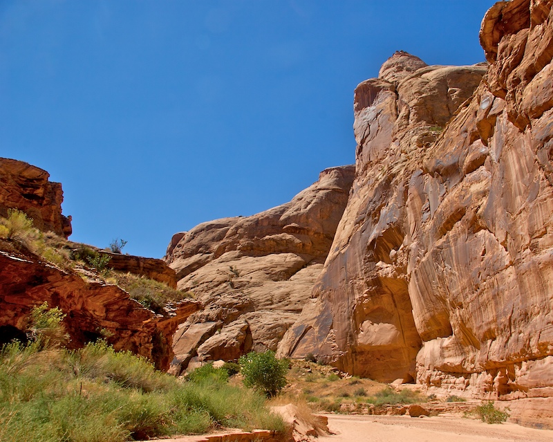 Horsehoe Canyon9