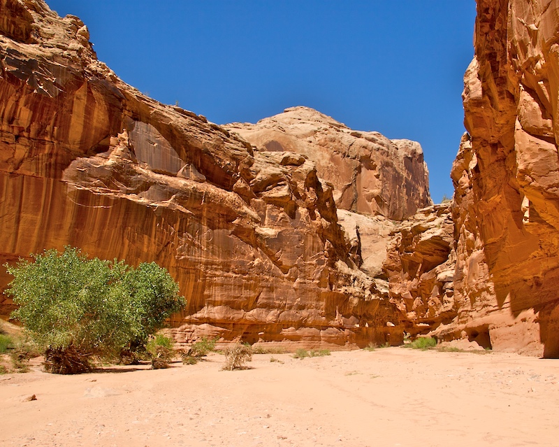 Horsehoe Canyon9