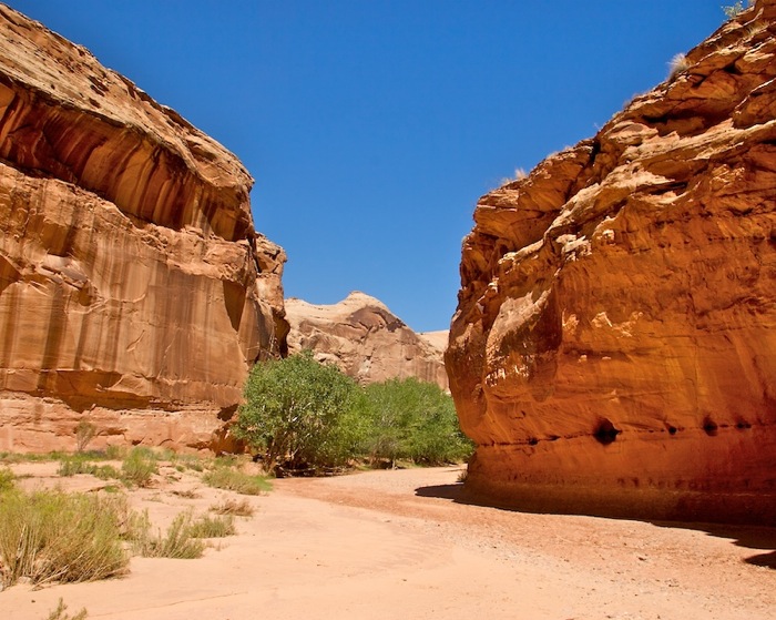 Horsehoe Canyon9