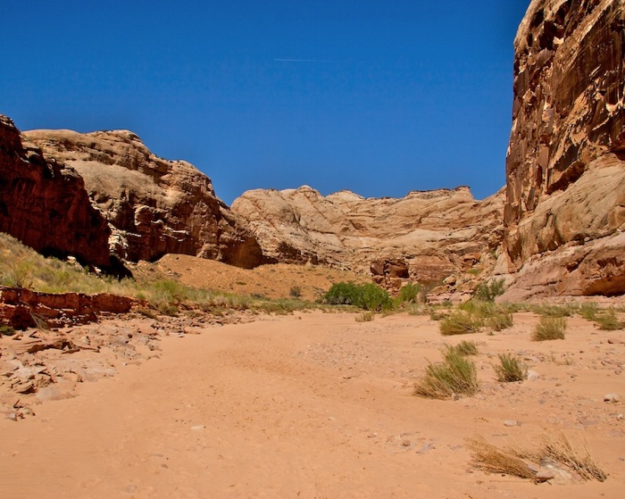 Horsehoe Canyon9