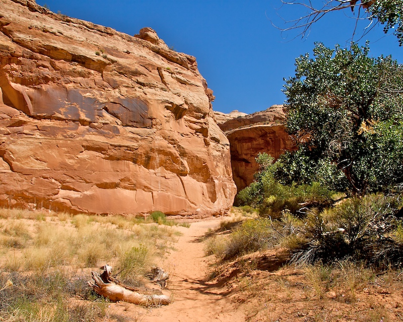 Horsehoe Canyon9