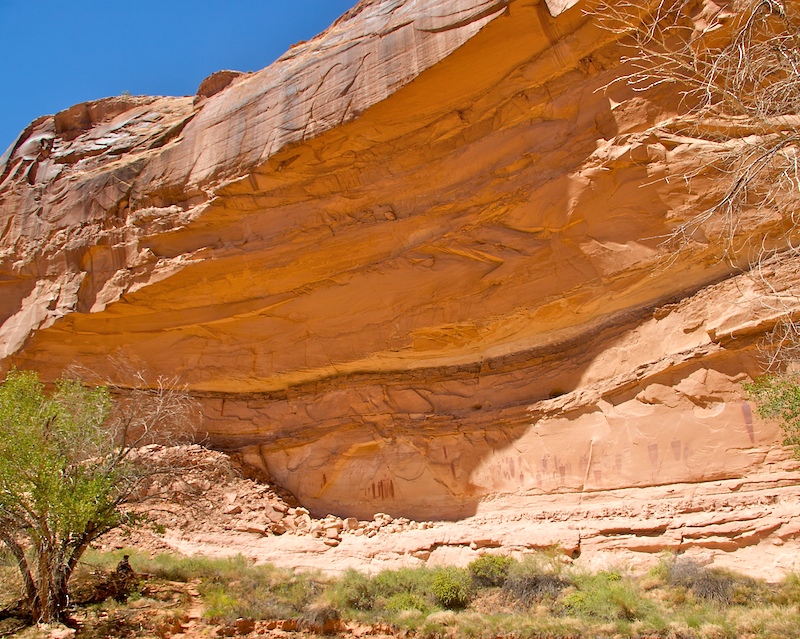 Horsehoe Canyon9