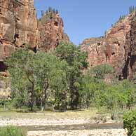 Zion National Park