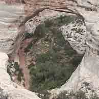 Natural Bridges National Monument