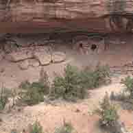 Natural Bridges National Monument