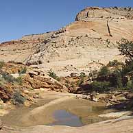 Capitol Reef National Park