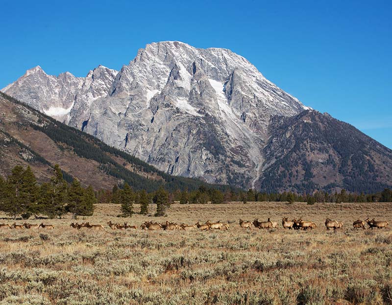 Grand Teton National Park