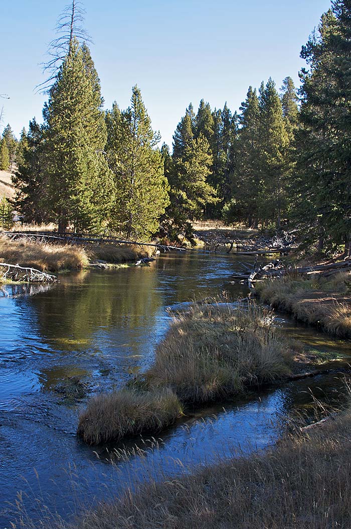 Yellowstone National Park