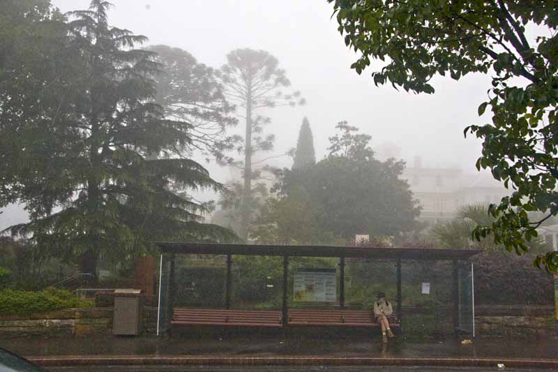 Street scene - rain