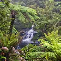 Katoomba