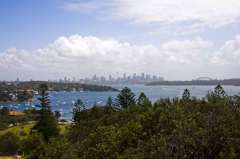 View to central Sydney