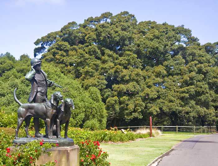 Sydney Botanical Garden