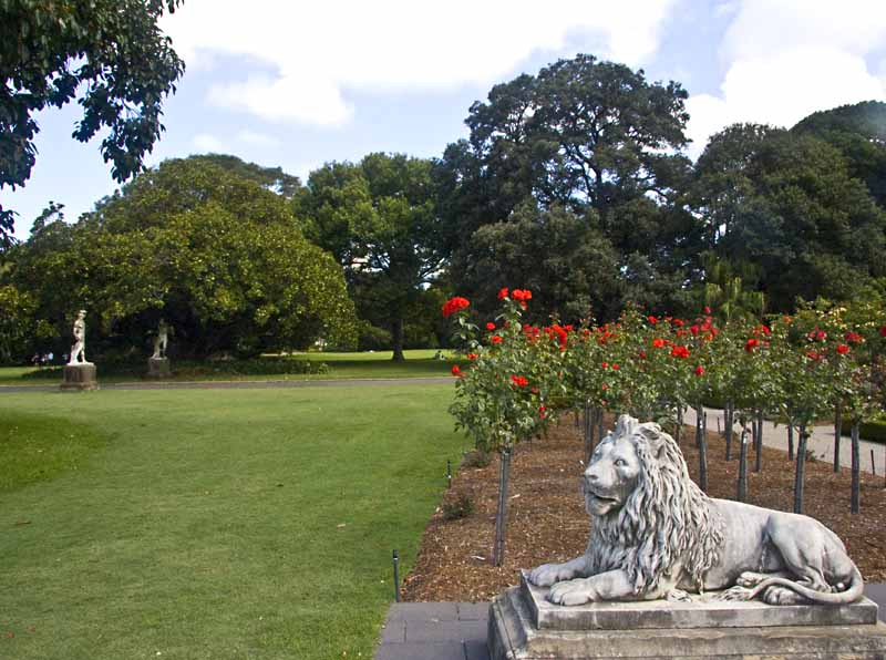 Sydney Botanical Garden