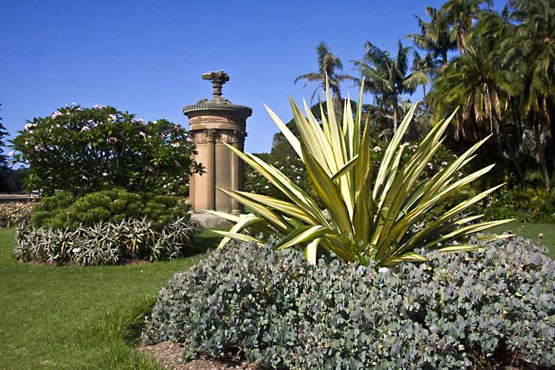 Sydney Botanical Garden