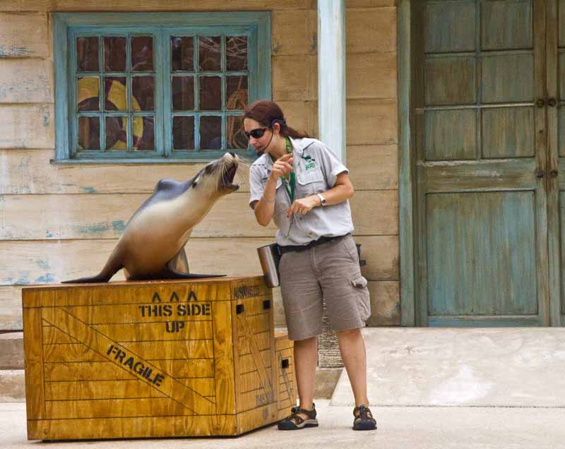 seal speaking with keeper