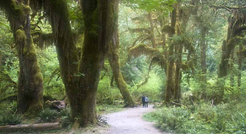 Olympic National Park