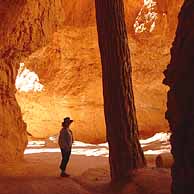 Arches, Windows, Caves, and Caverns